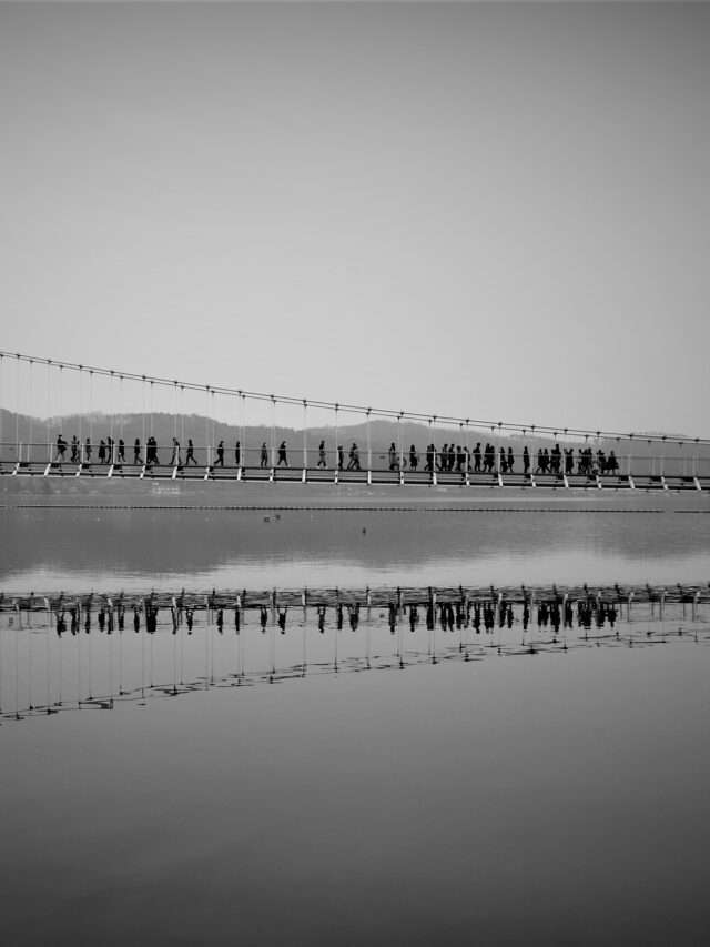 Morbi Death Bridge की महत्वपूर्ण जानकारियां ।