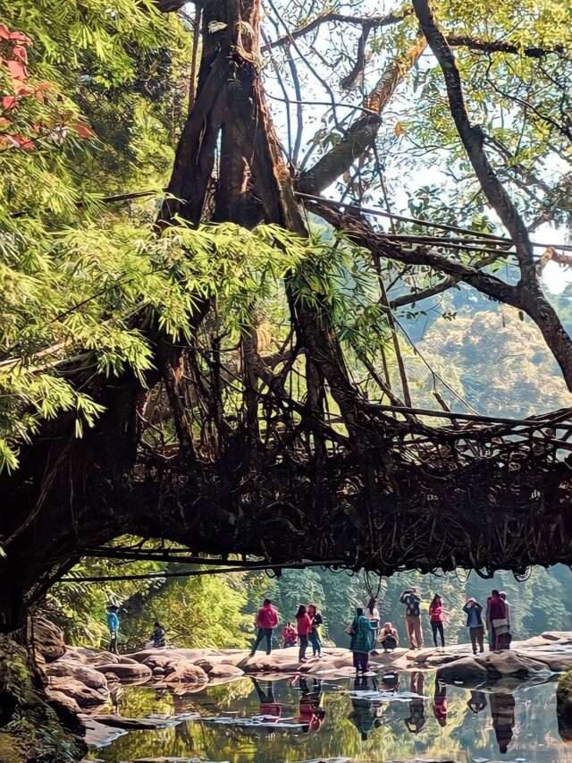 meghalaya root bridges