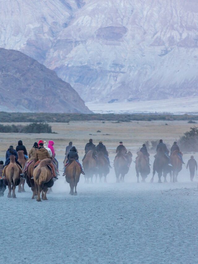 Nubra Valley ladakh