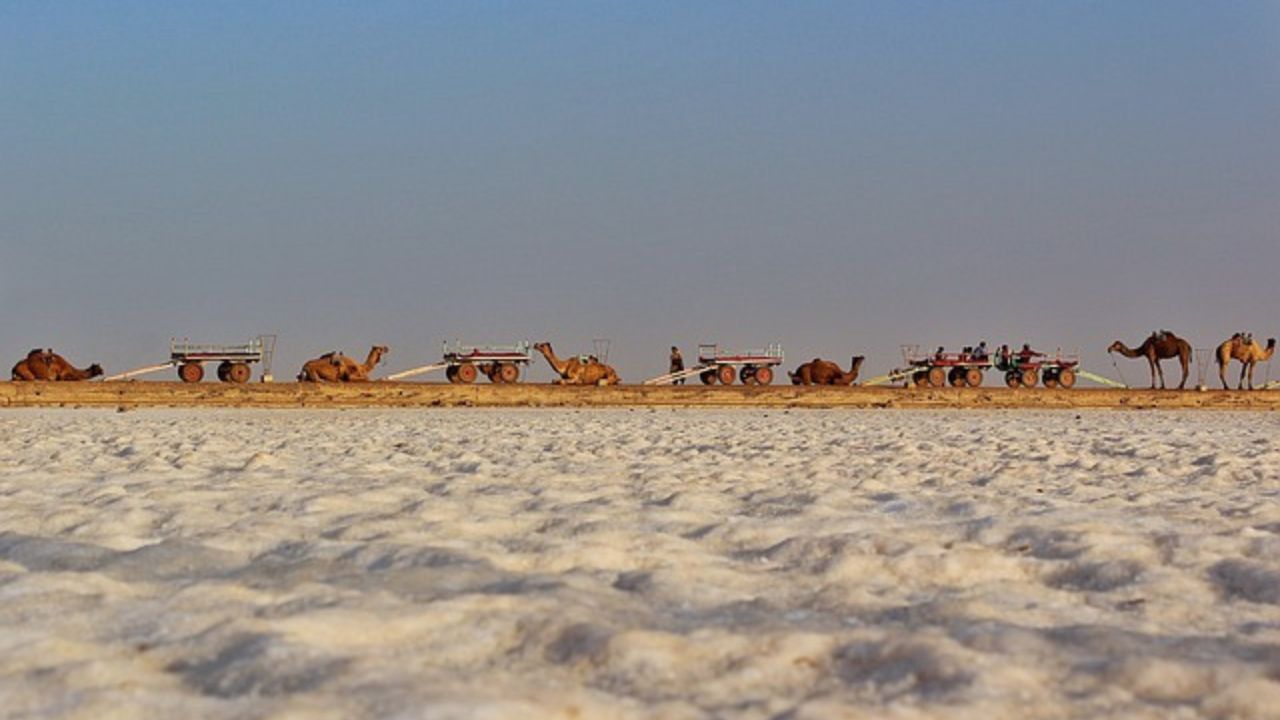 Rann Of Kutch