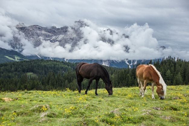 sonmarg in hindi